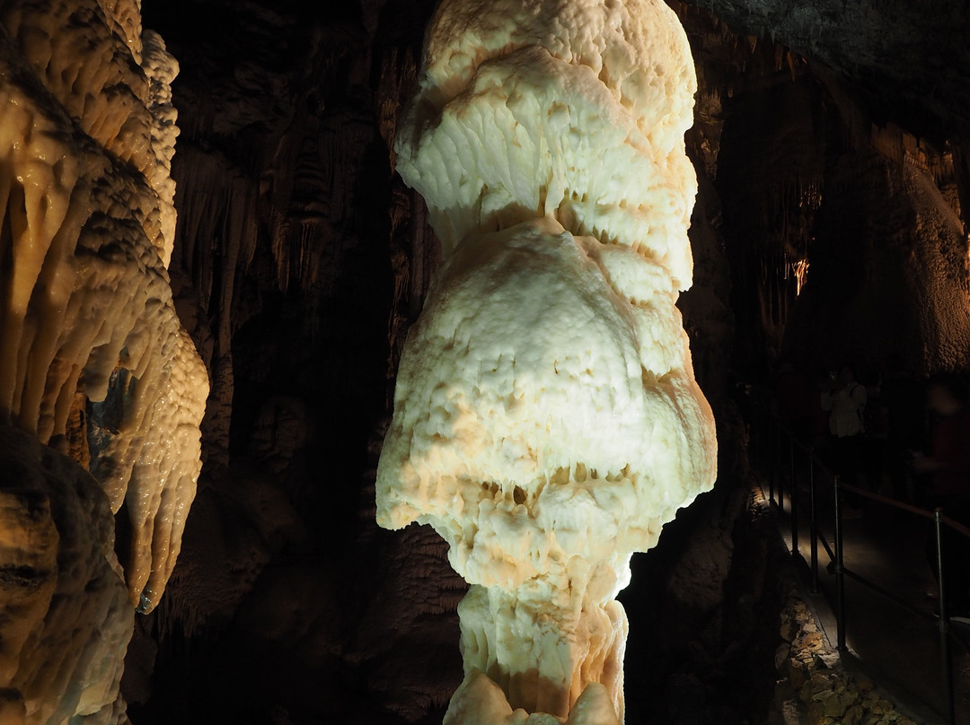 Postojna Cave景点图片