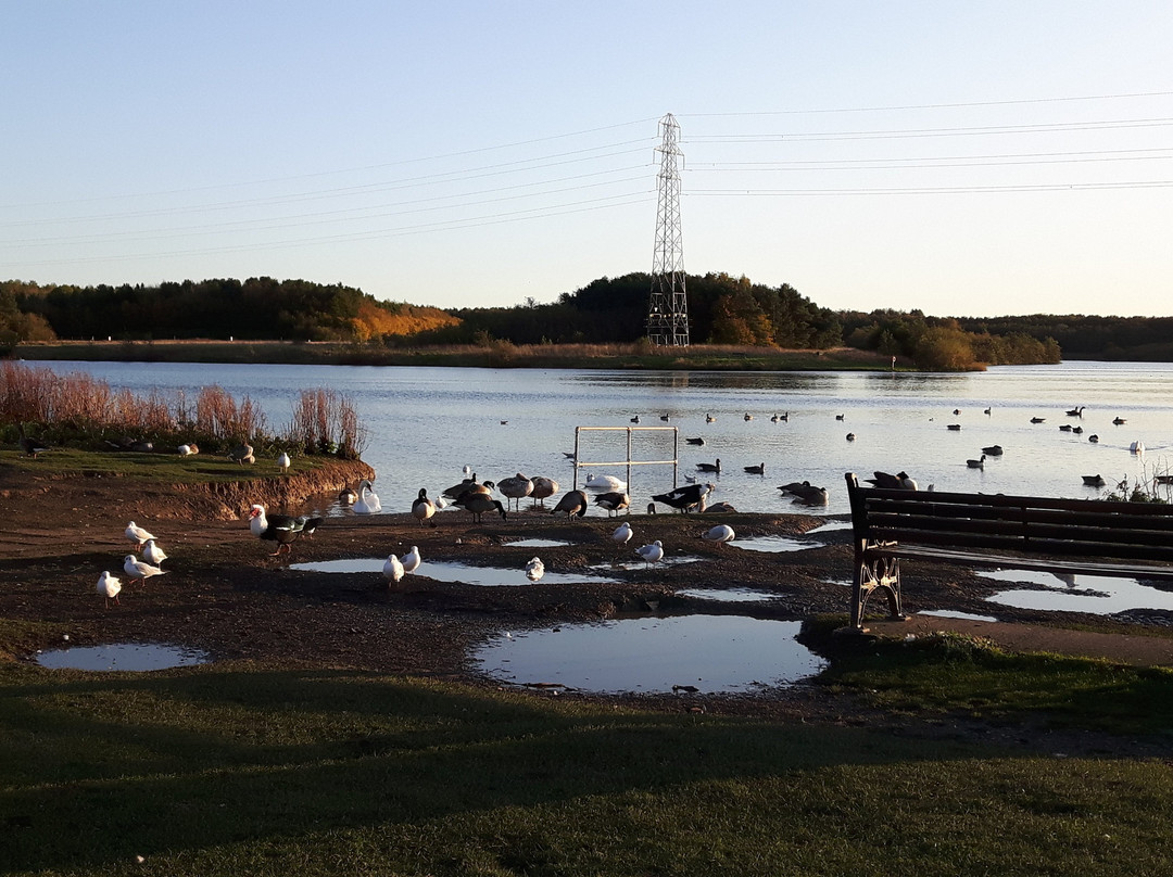 Queen Elizabeth II Country Park-Ashington必去景点