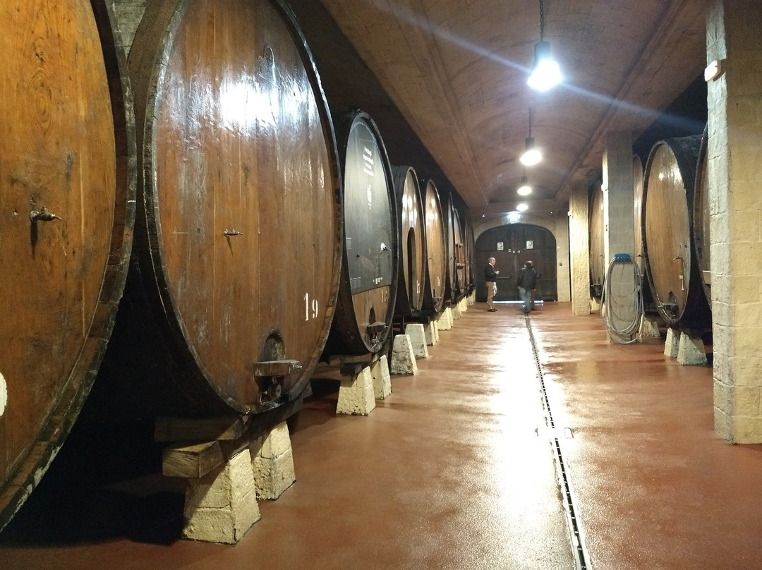 Basque Cooltour - Day Tours景点图片