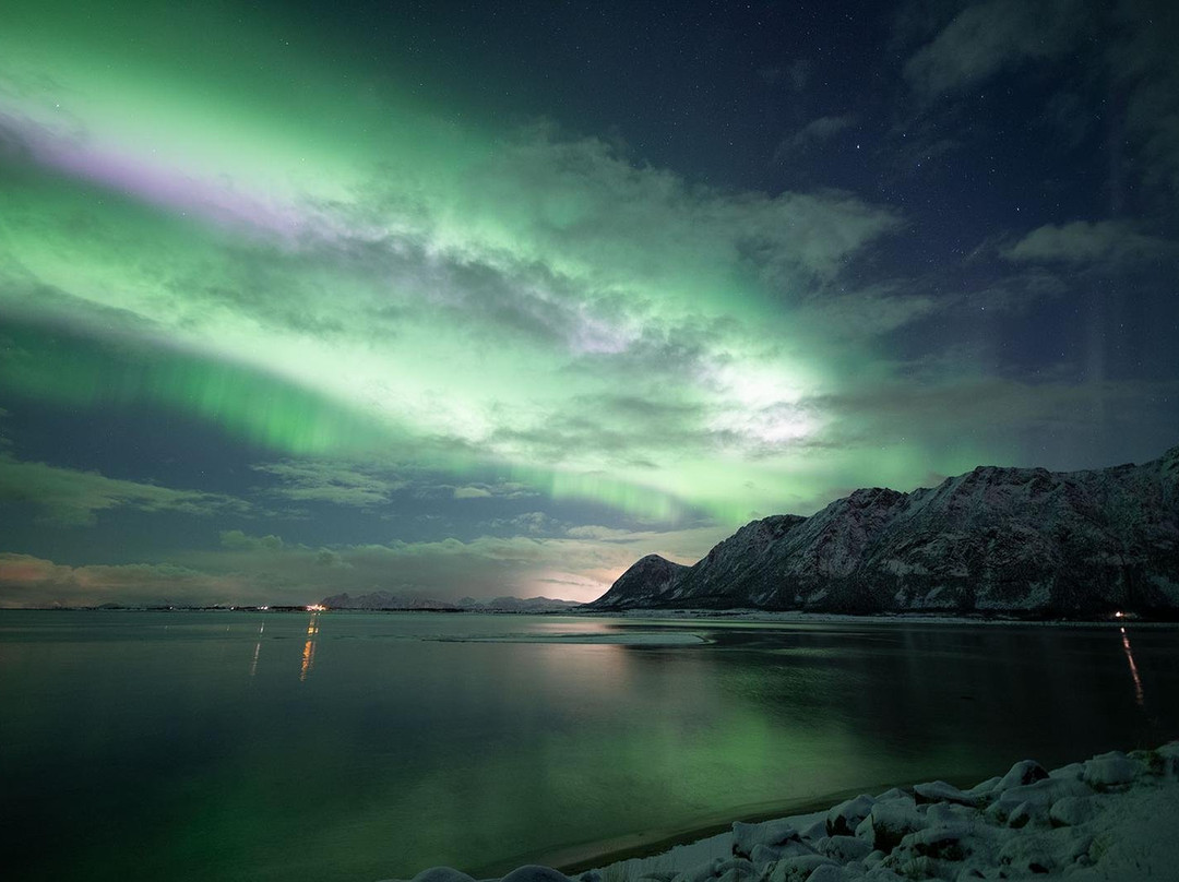Lofoten Photo Tours景点图片