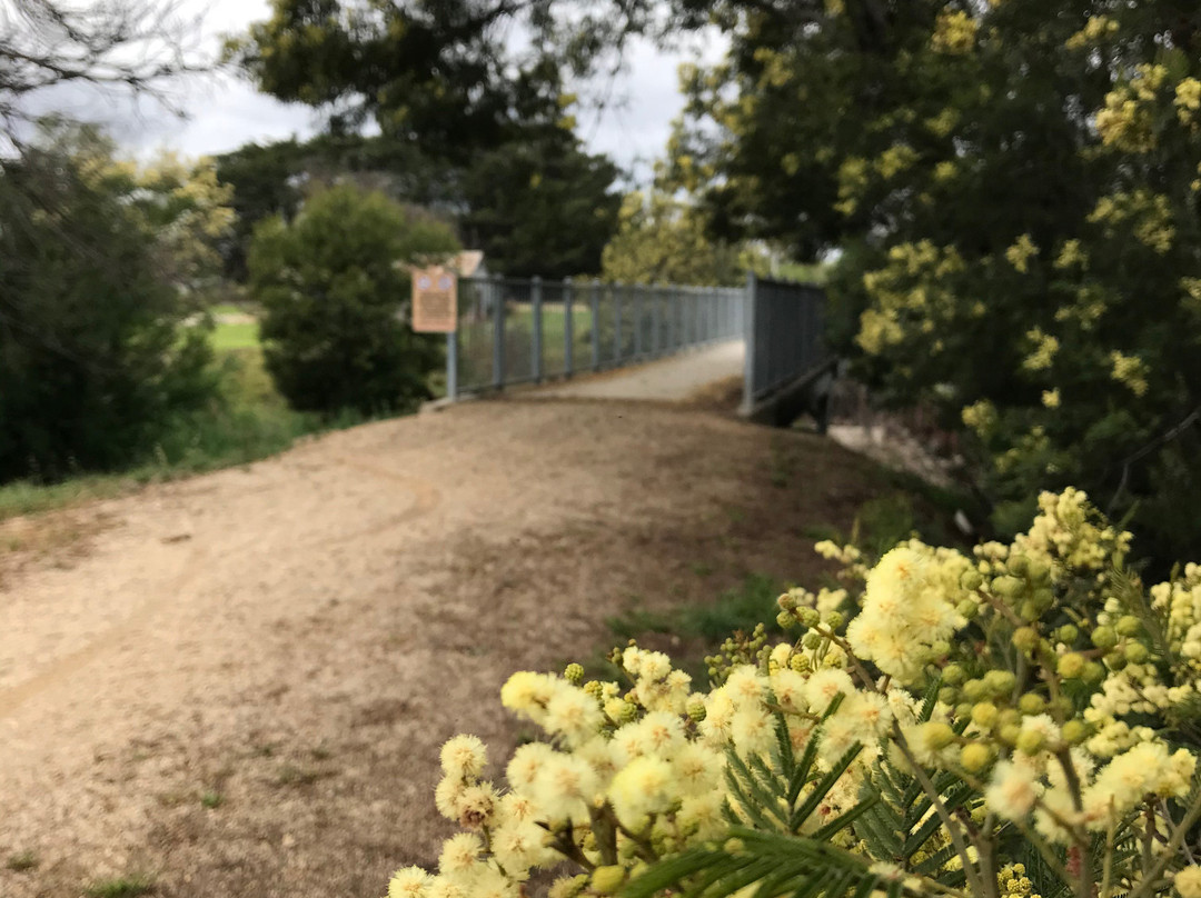 Rainbow Creek Bridge-Cowwarr必去景点
