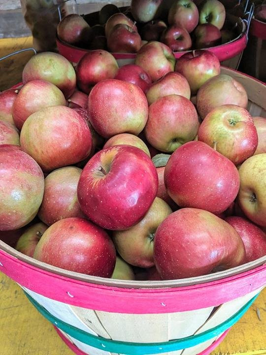 Ten Eyck Orchard-Brodhead必去景点