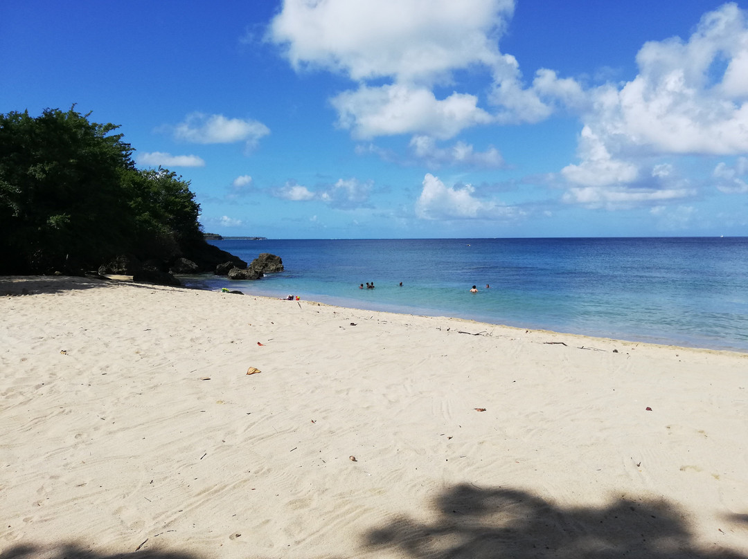 Mount Irvine Bay Resort主图