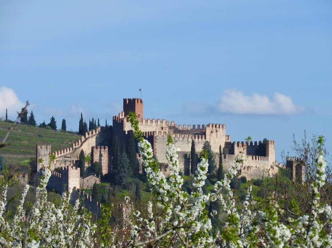 Palazzo Scaligero o del Capitano - Municipio di Soave景点图片