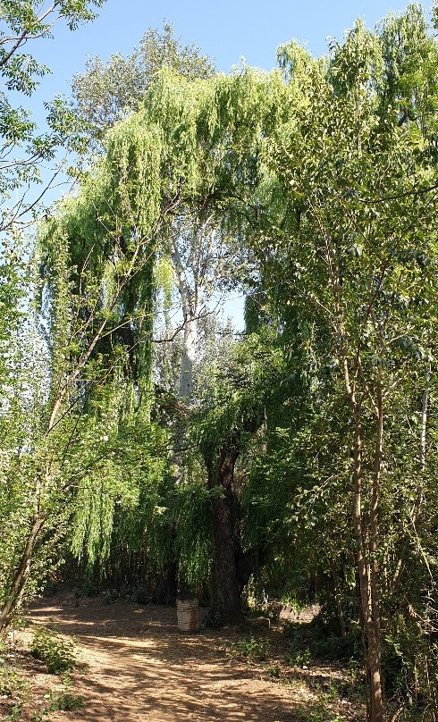 Magalies Sleepy River-Magaliesburg必去景点