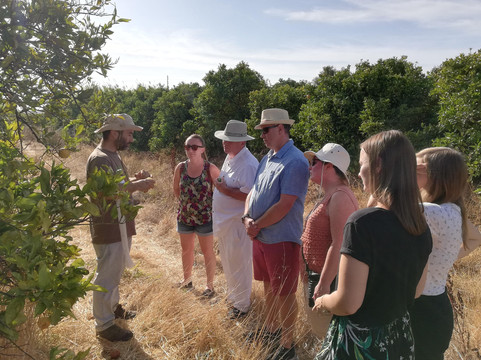 Algarve Food Experience-Algarvia必去景点