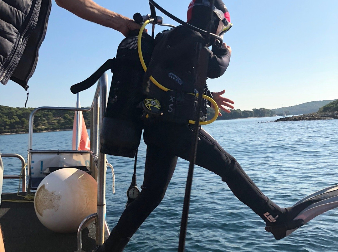 Orca Diving Center-普拉必去景点