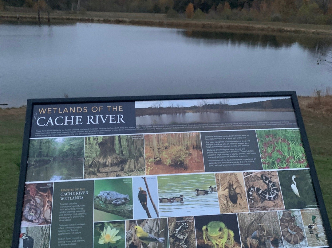 Cache River State Natural Area-Belknap必去景点