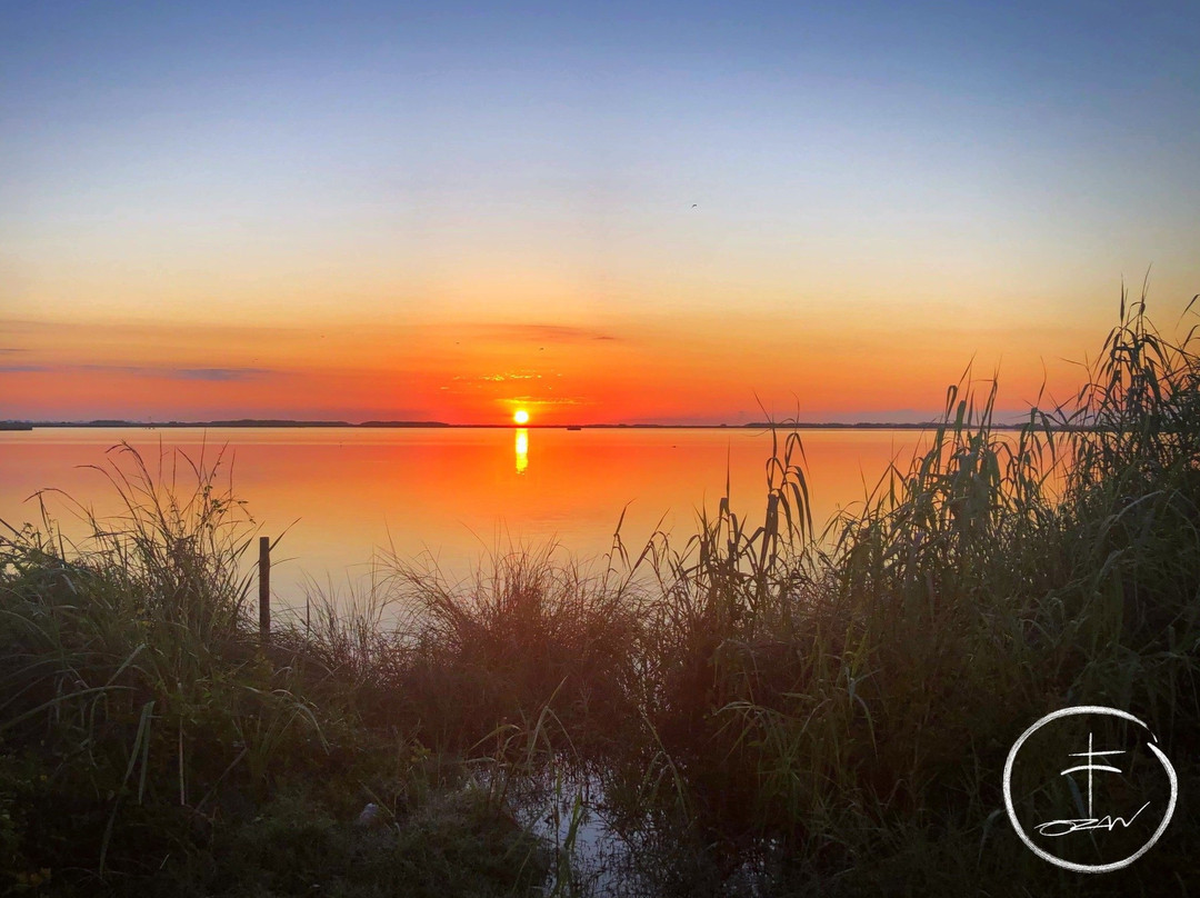 Rutherford Beach-Hackberry必去景点