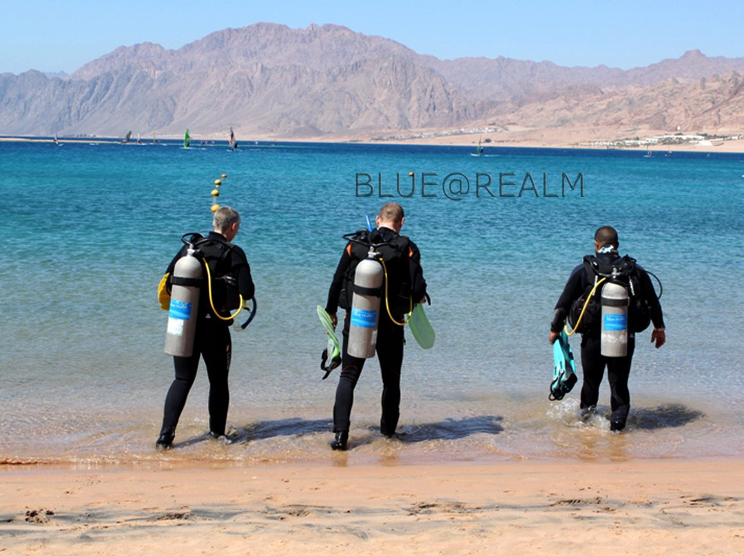 Blue Realm Diving Dahab-南西奈必去景点