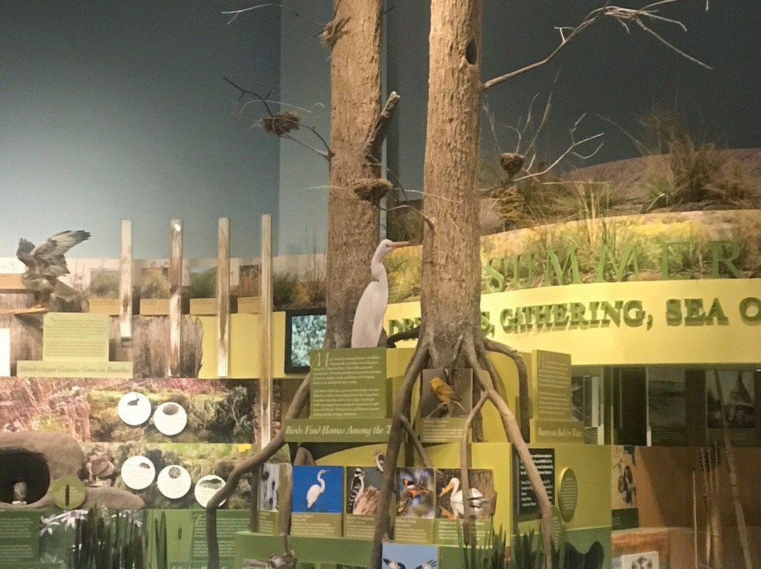 REACH Museum-Richland必去景点