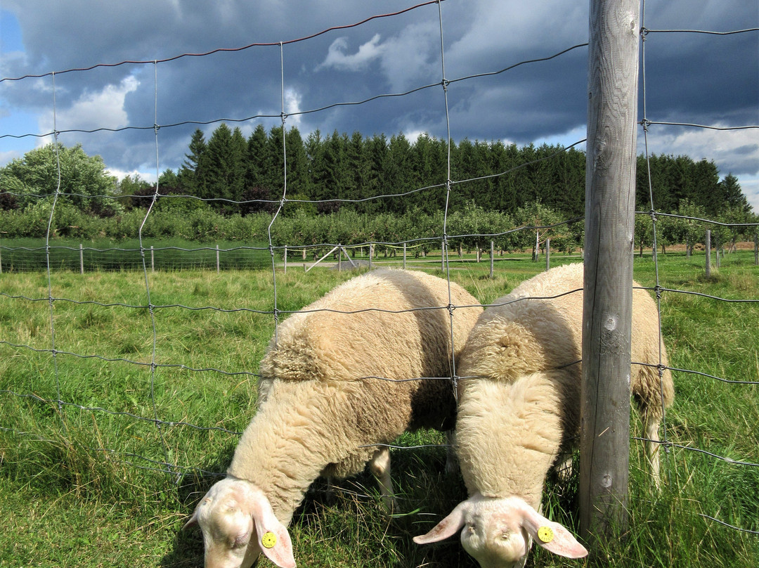 La Ferme Genest-Saint-Nicolas必去景点