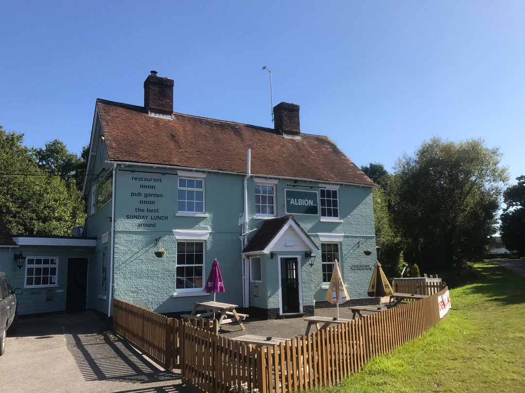 Wimborne Saint Giles旅游攻略图片