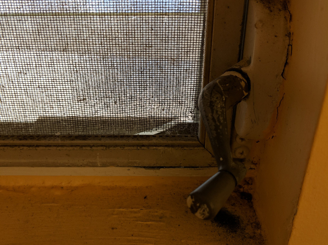 蓝色海豚旅馆主图