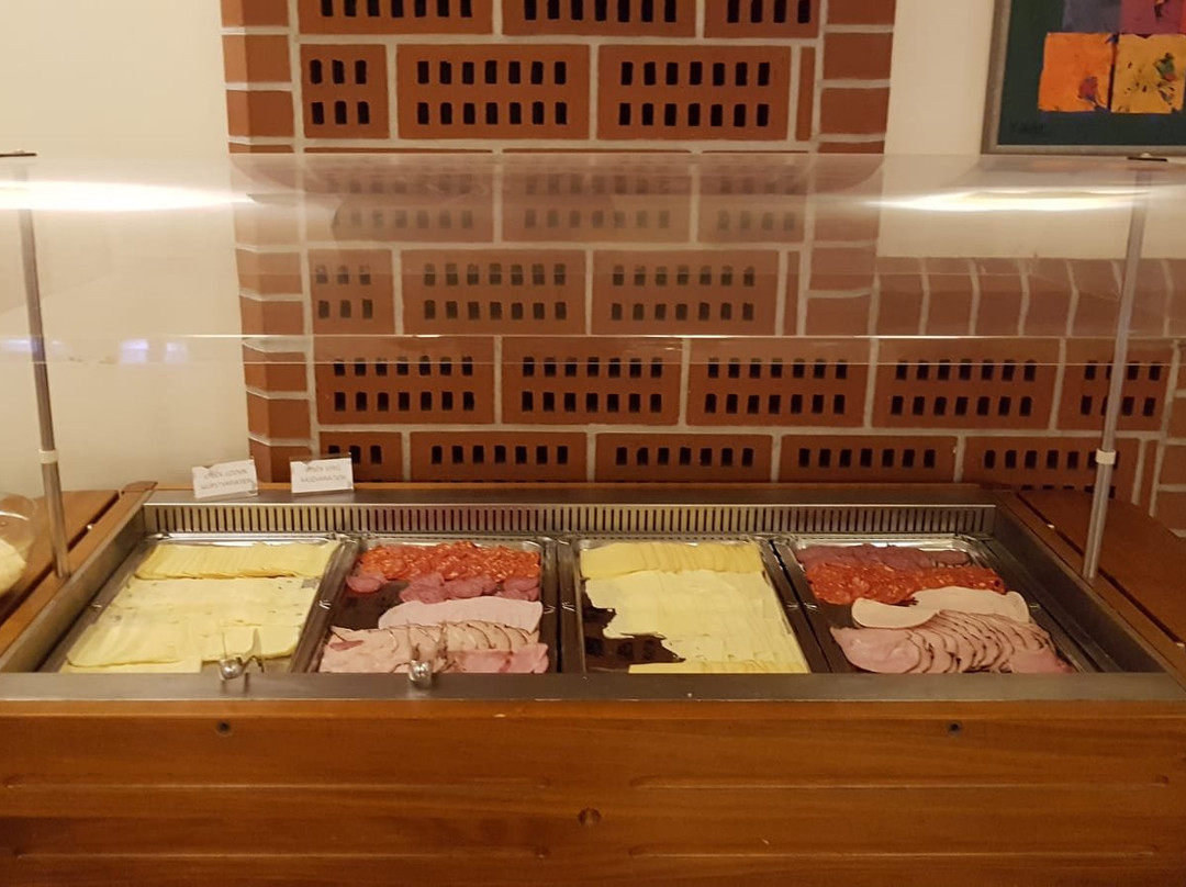 奥斯特鲁夫皮特劳恩酒店主图