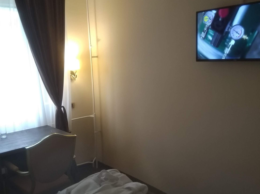 Hotel Oplenac主图