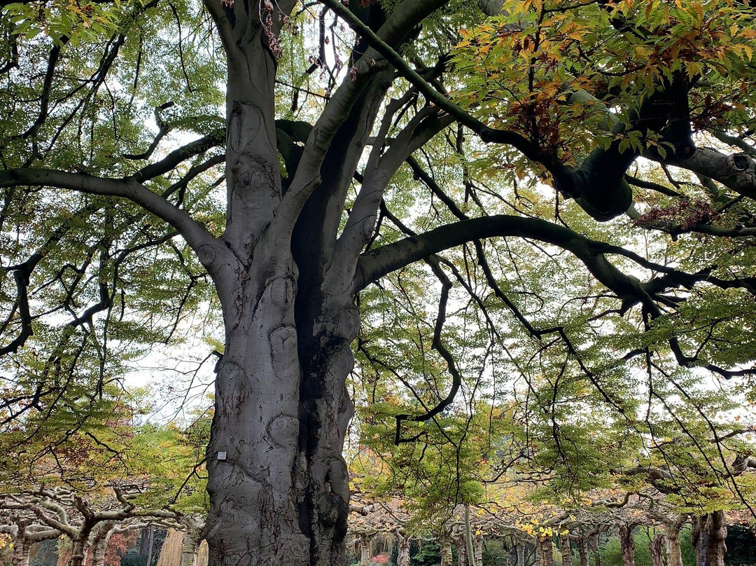 Schönwasserpark-克雷菲尔德必去景点