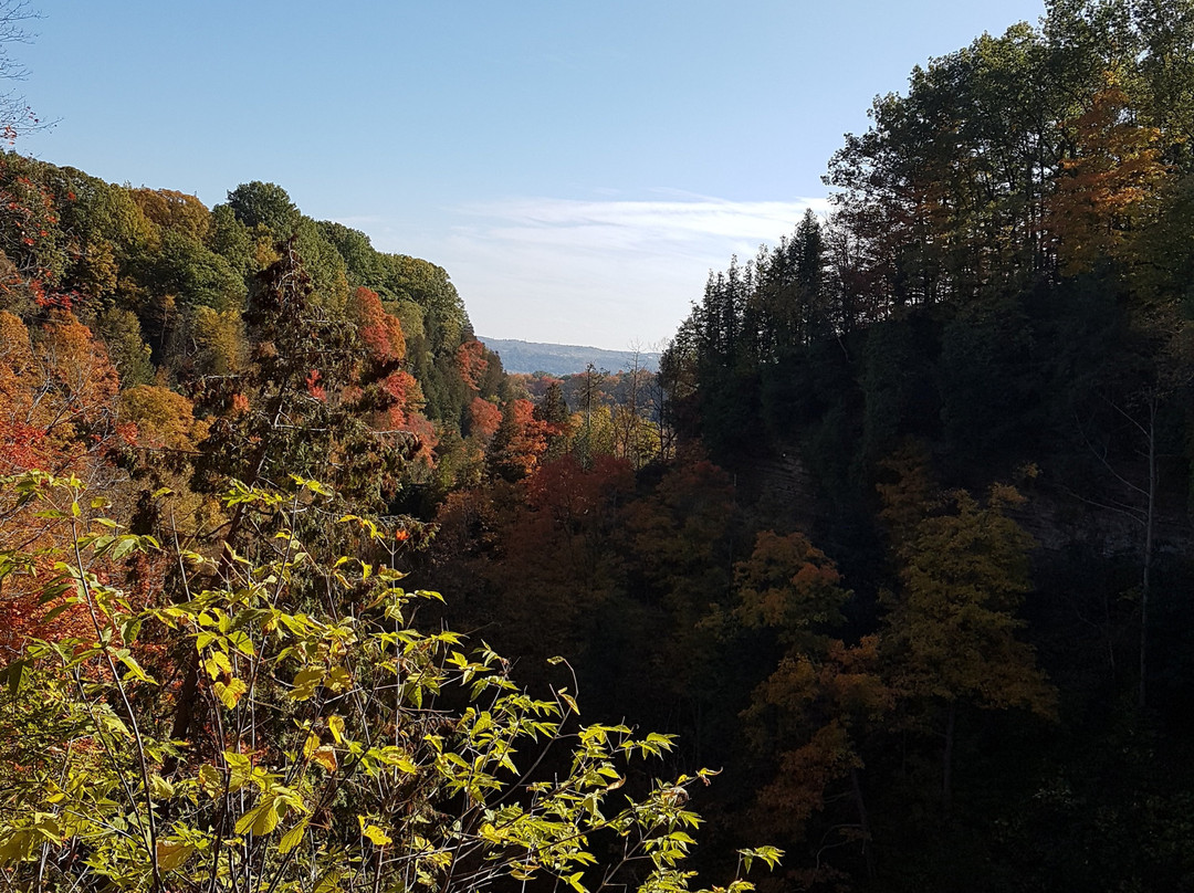 Tews Falls-邓达斯必去景点
