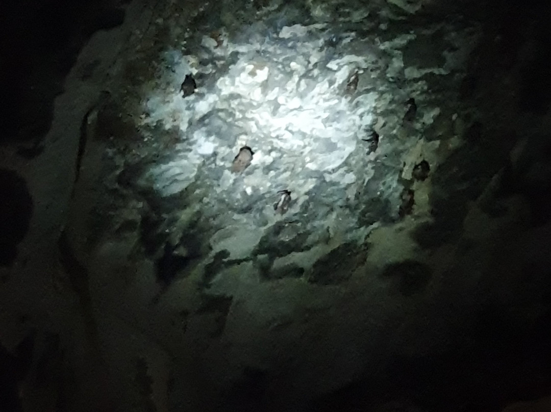 Pee Hua Toe Cave景点图片