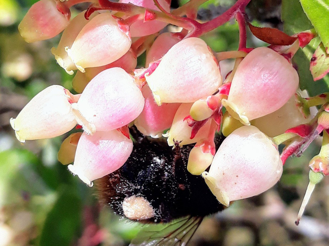 力推西部公园住宿酒店主图