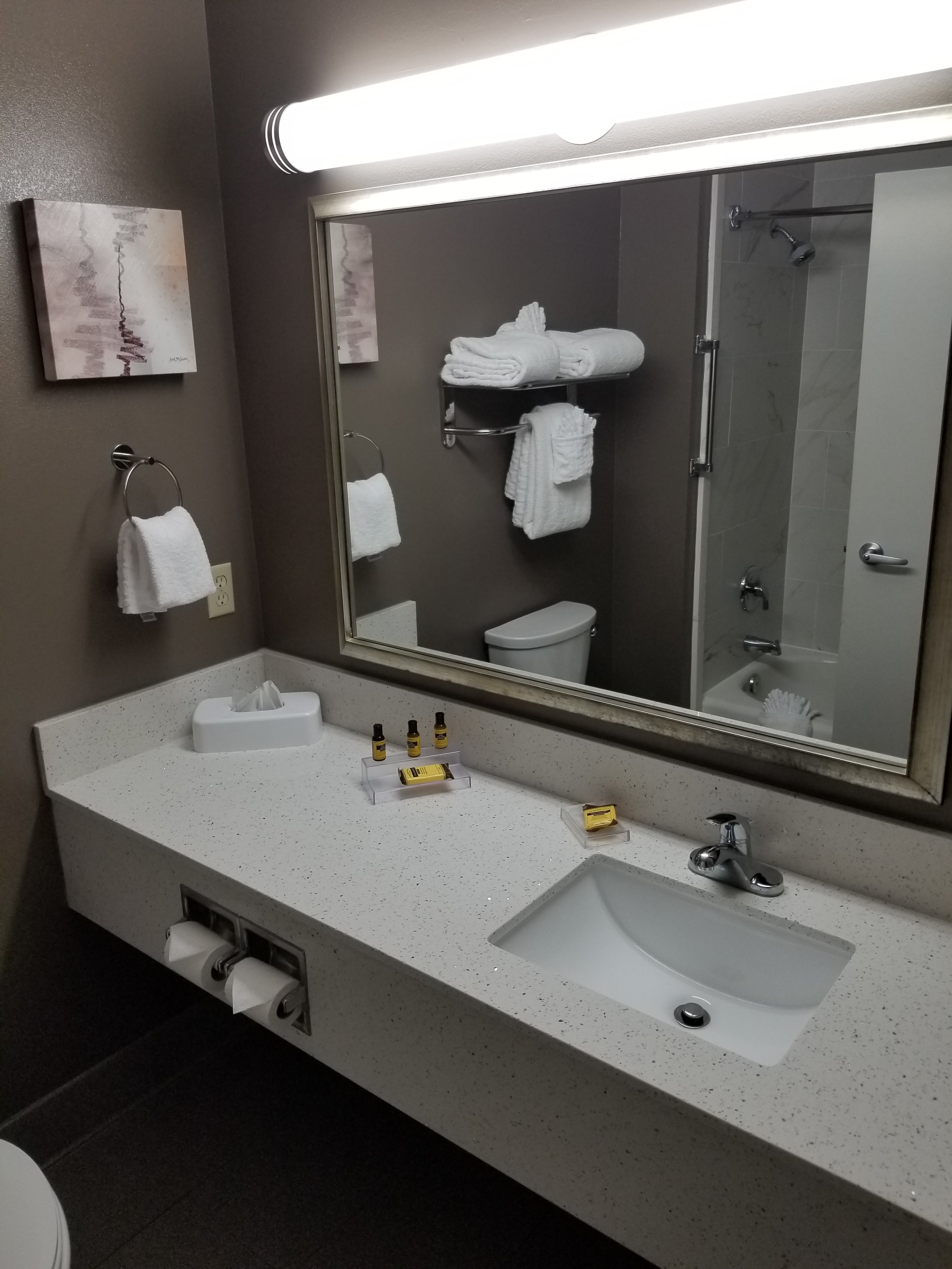 Best Western Plus Lake City-浴室