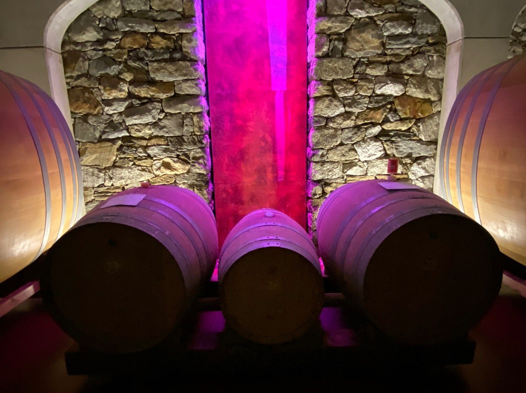 Weingut Plonerhof景点图片