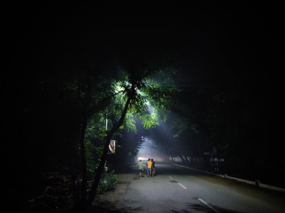 Indian Institute Of Technology景点图片