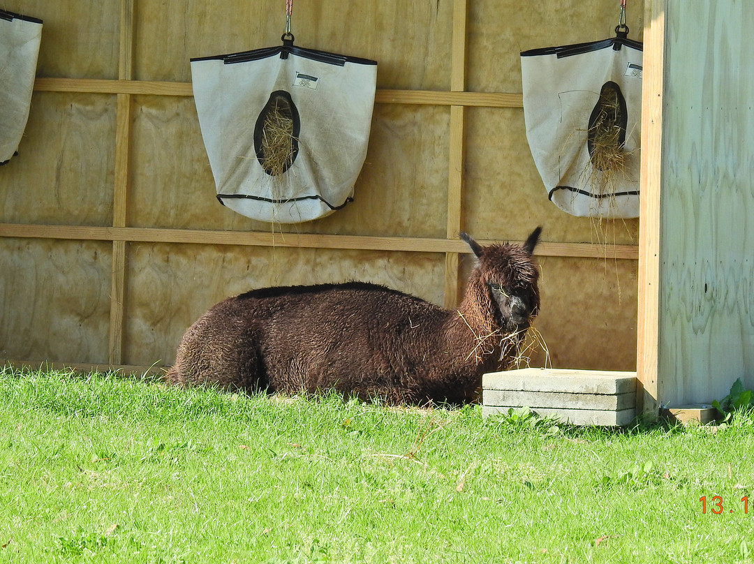 艺术屋家庭旅馆主图