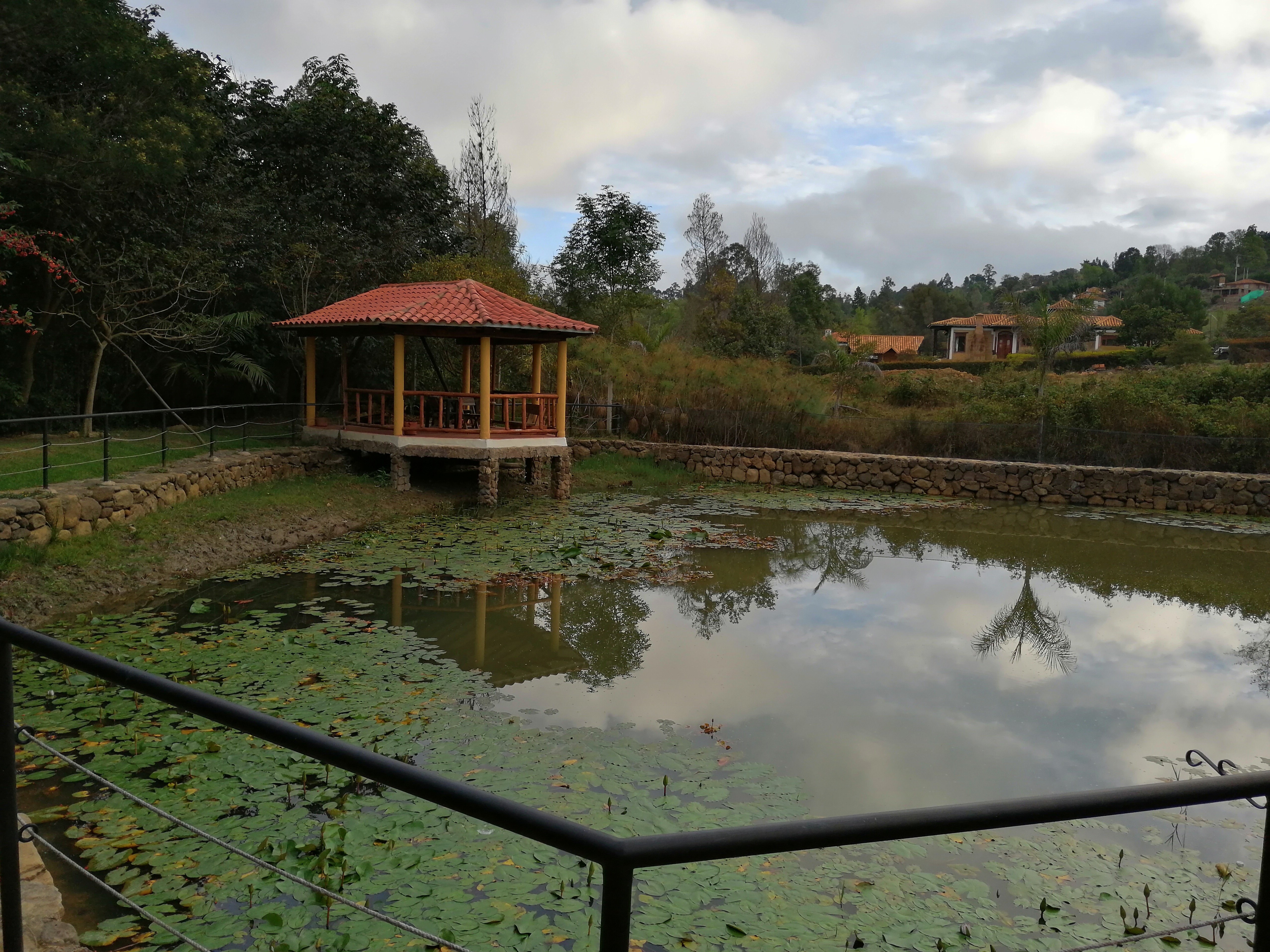 Hotel Casa Cantabria Campestre-餐饮