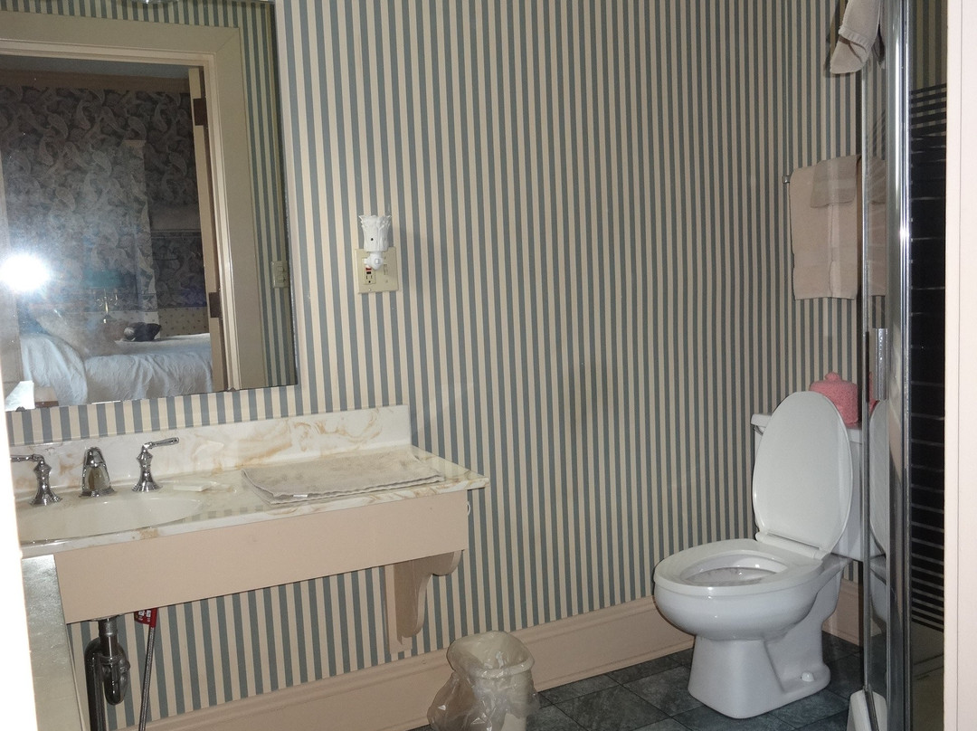 The Cozy Afghan主图