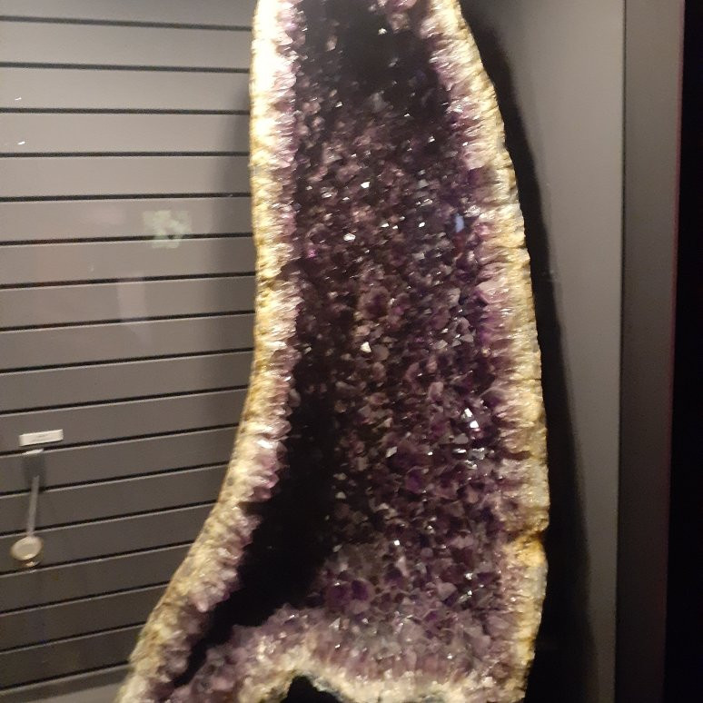 Planetarium Hubert Curien-第戎必去景点