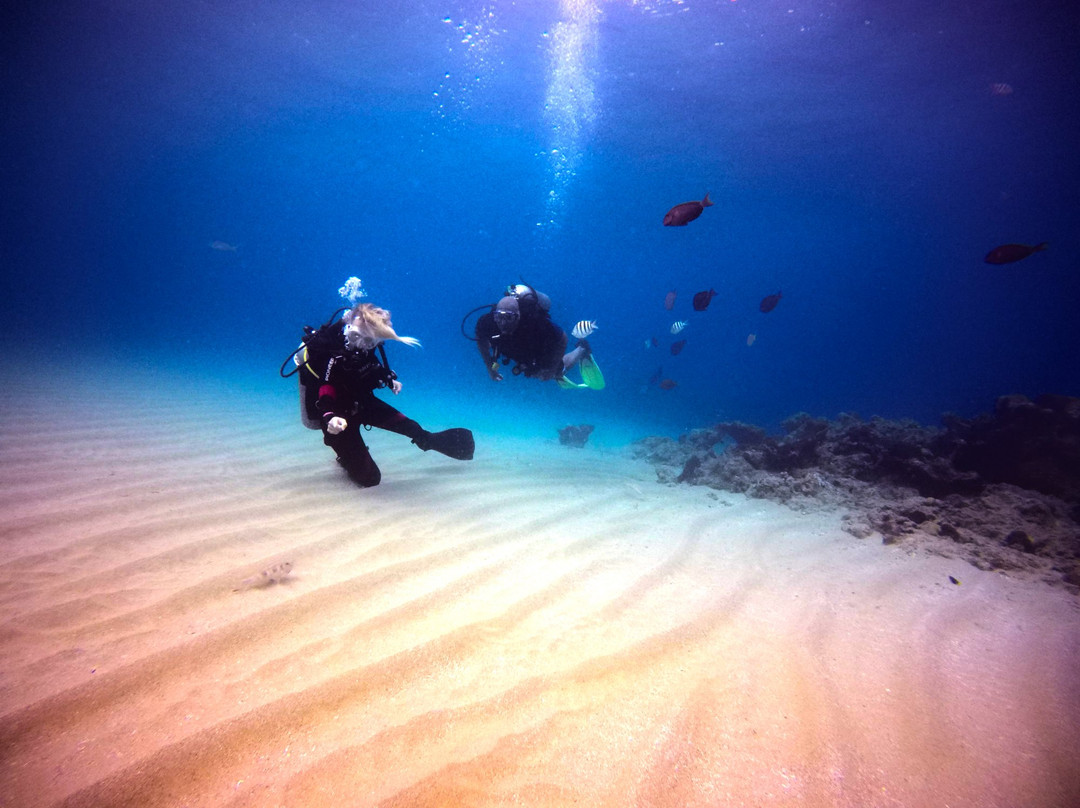Dive Cabarete-苏莎亚必去景点
