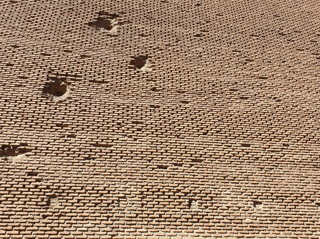 Ark Mosque (Ark-e-alishah)景点图片