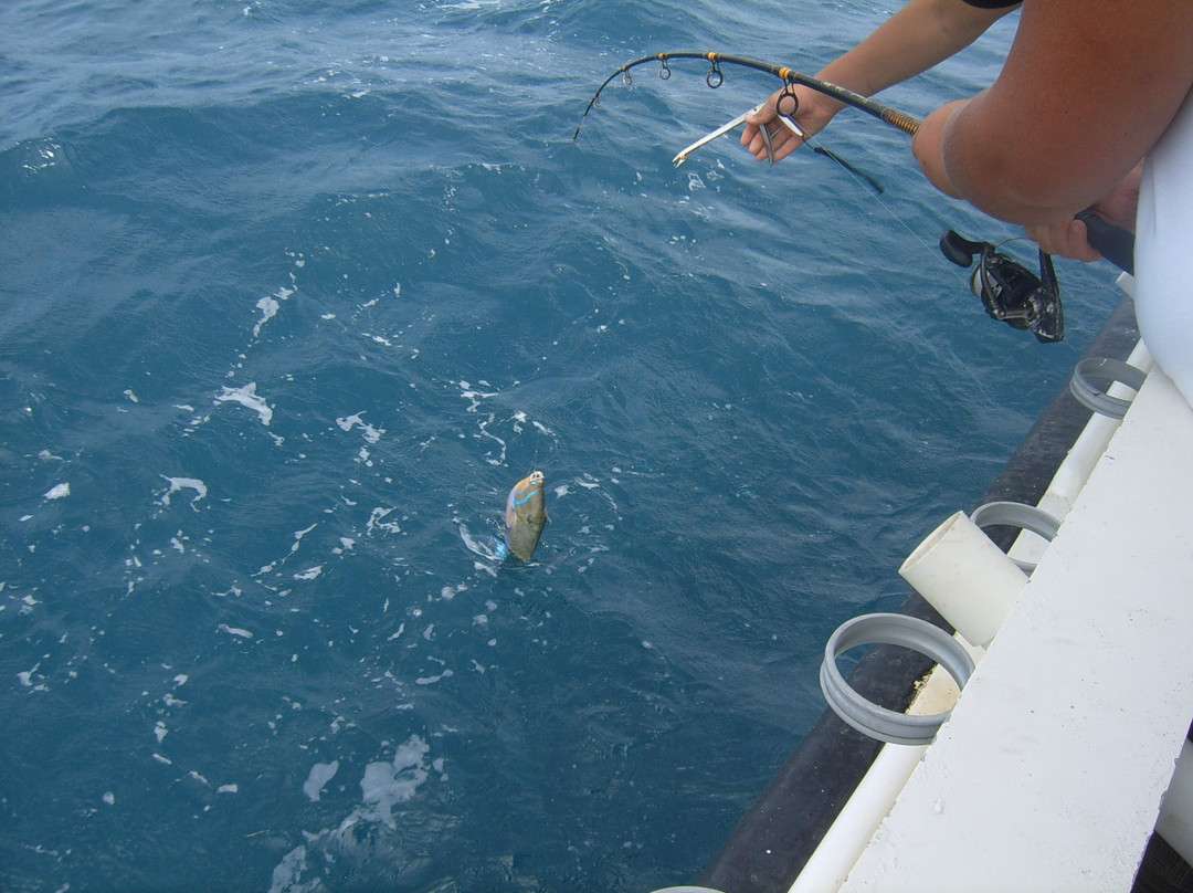 Bottom Fishing Aruba景点图片