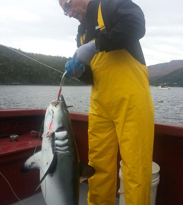 Blackawton Boat Tours-Woody Point必去景点