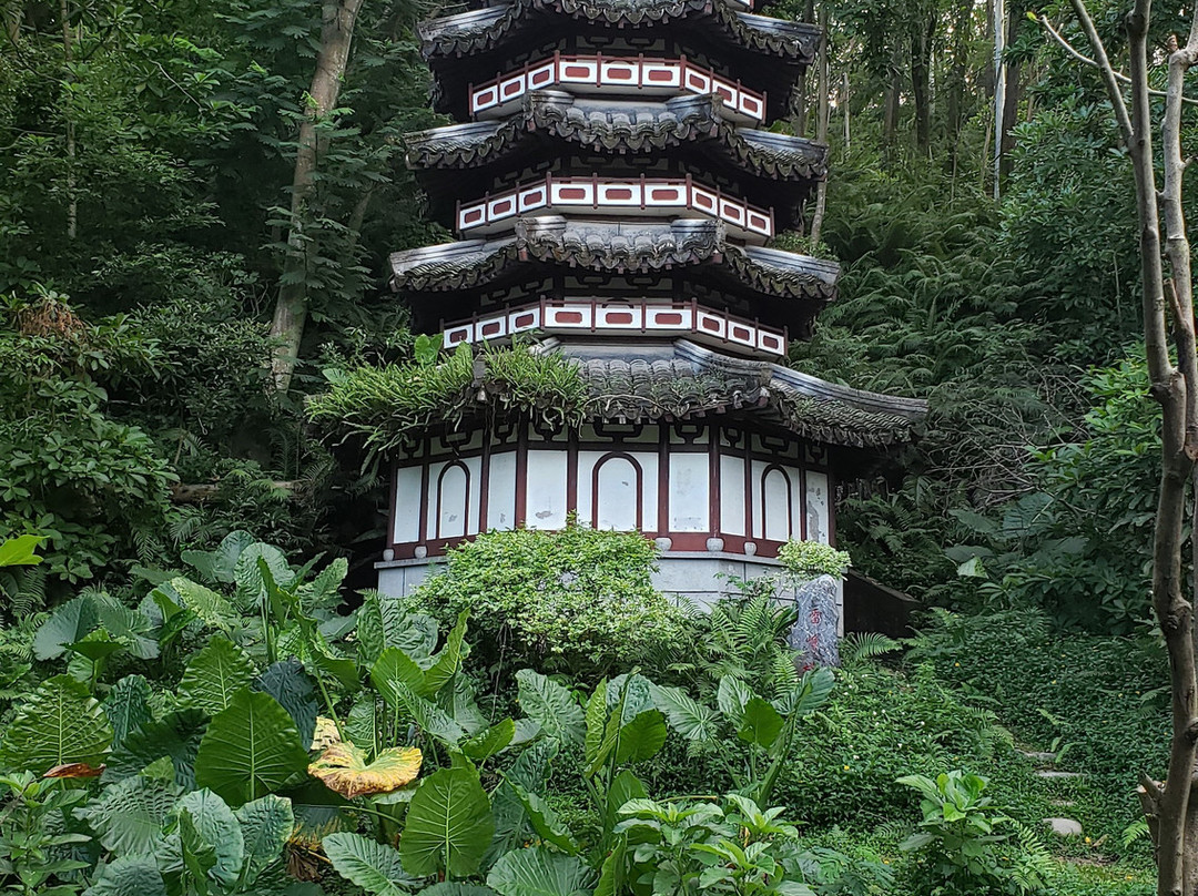 深圳园博园-深圳市必去景点