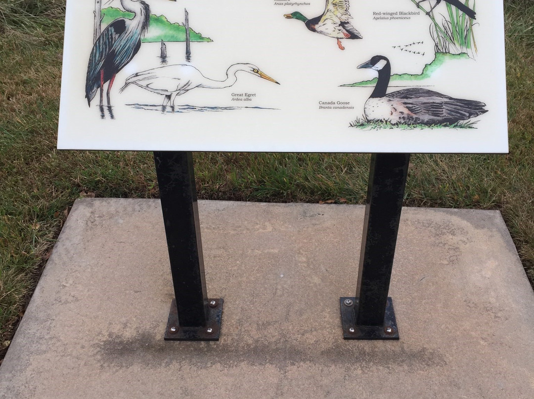 Great Plains Nature Center景点图片