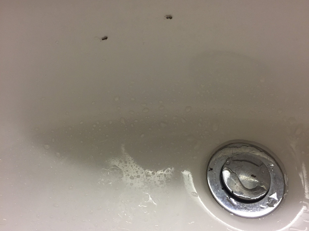 塔里敦喜来登酒店主图