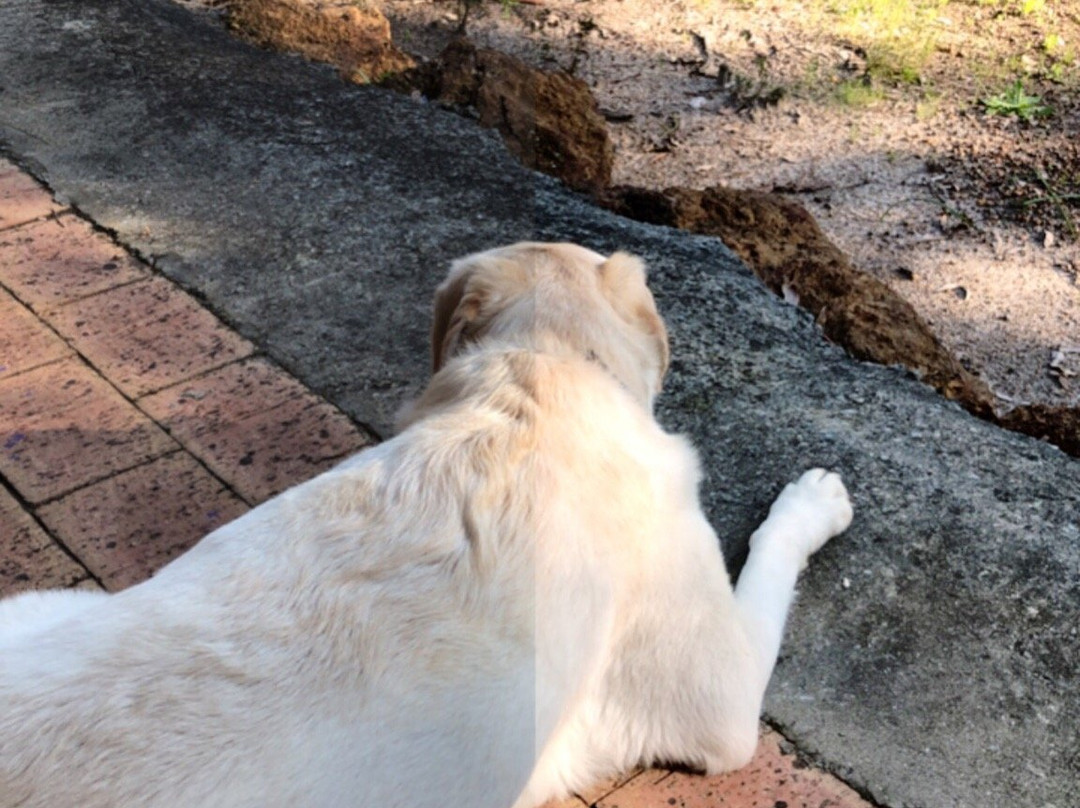 Travellers Rest Motel主图