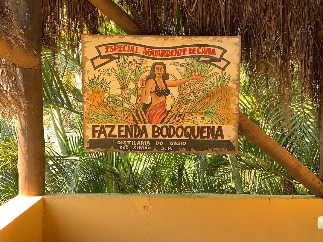 Riccio di Mare主图