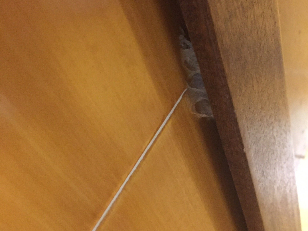 Hotel Fly主图