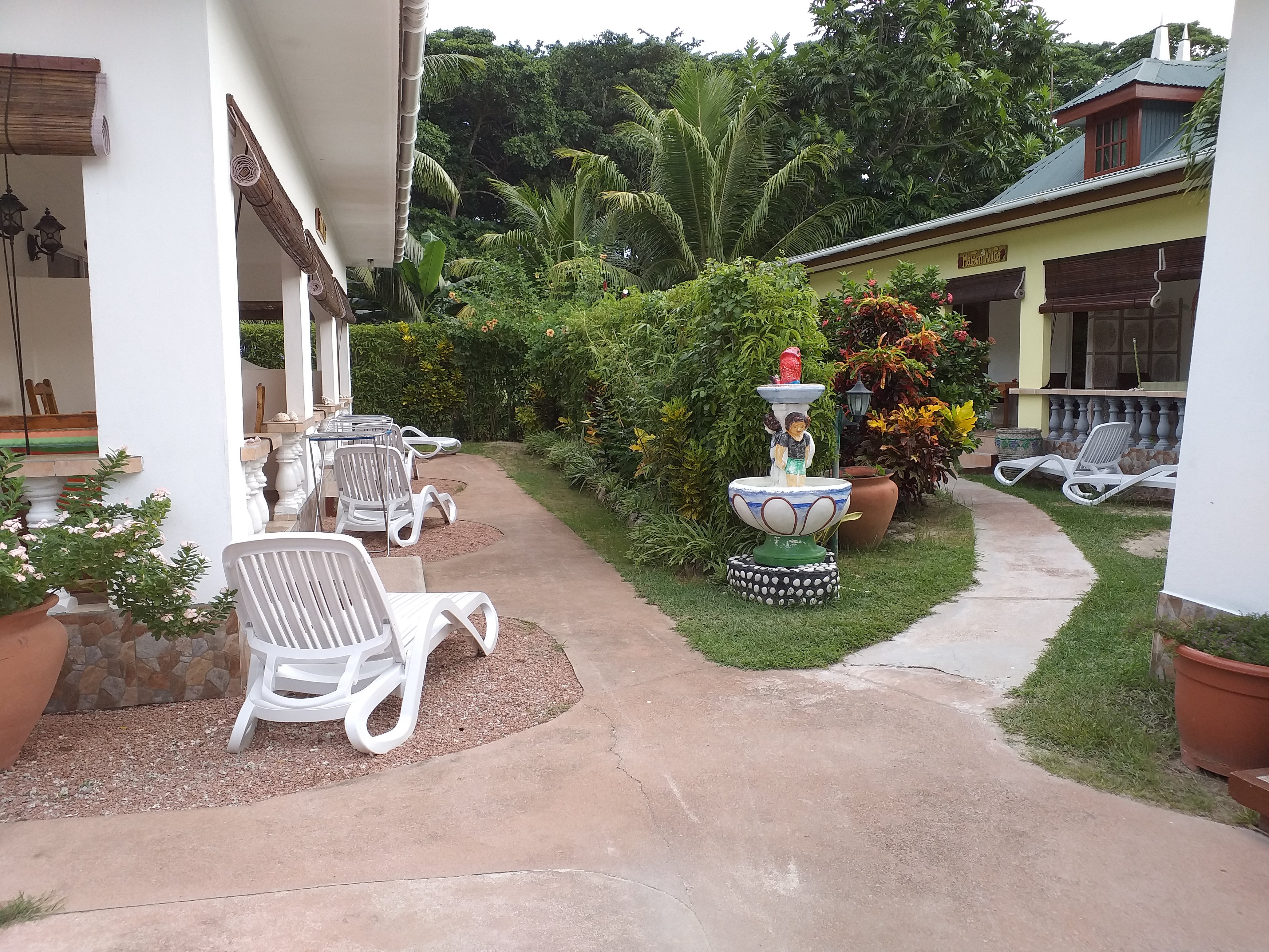 Pension Hibiscus-官方