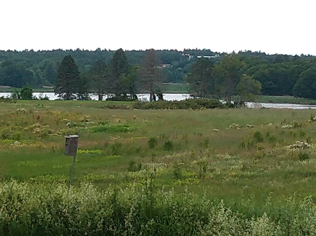 North Tonawanda Audubon Nature Preserve景点图片