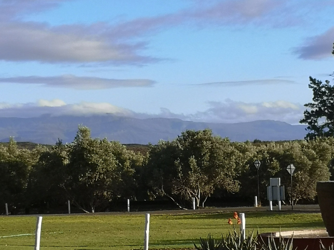 Olive Grove Guest Farm主图