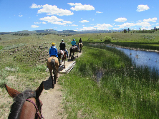 Yellowstone Rough Riders