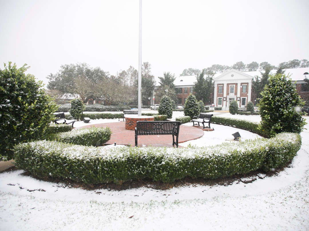 Nicholls State University景点图片