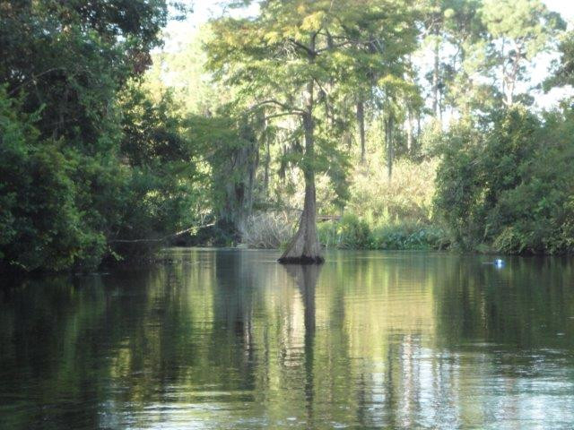 Weeki Wachee Kayaking