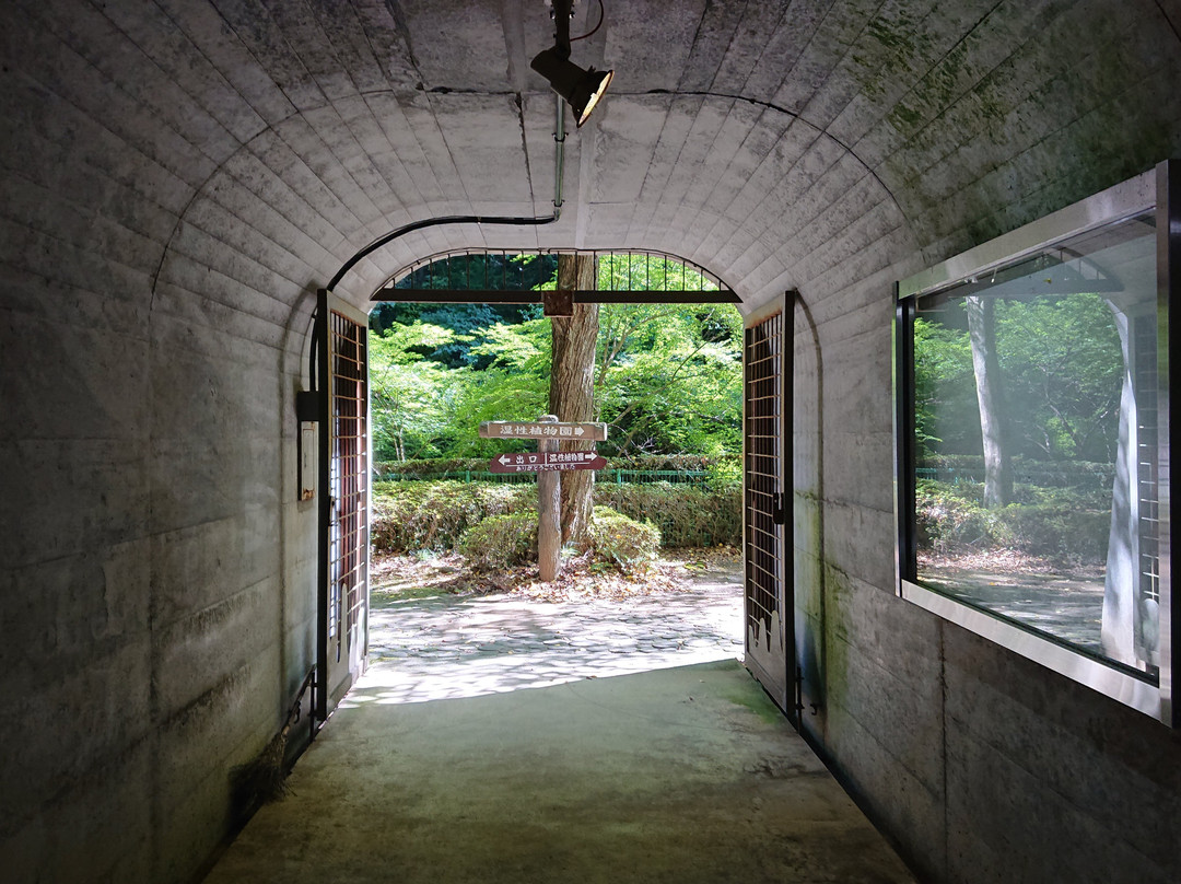 Odairanosato Shonyudo Park景点图片