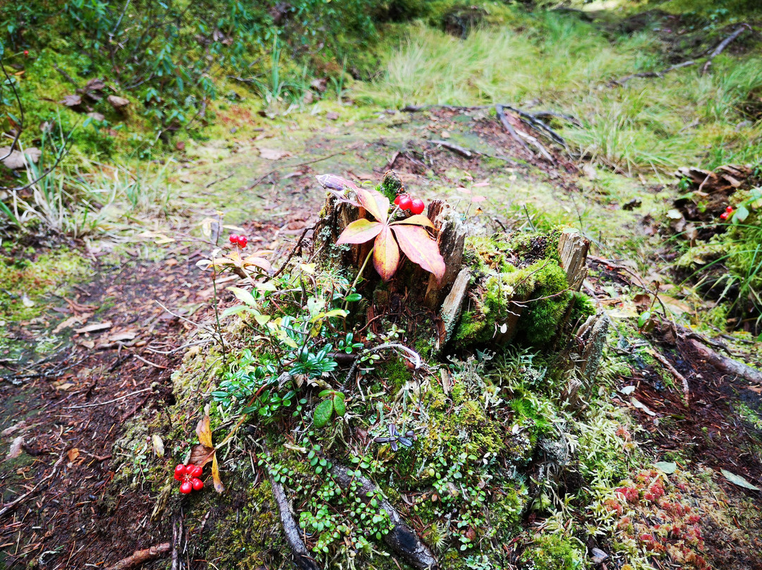 Sentier Les Pionniers-Saint Urbain必去景点