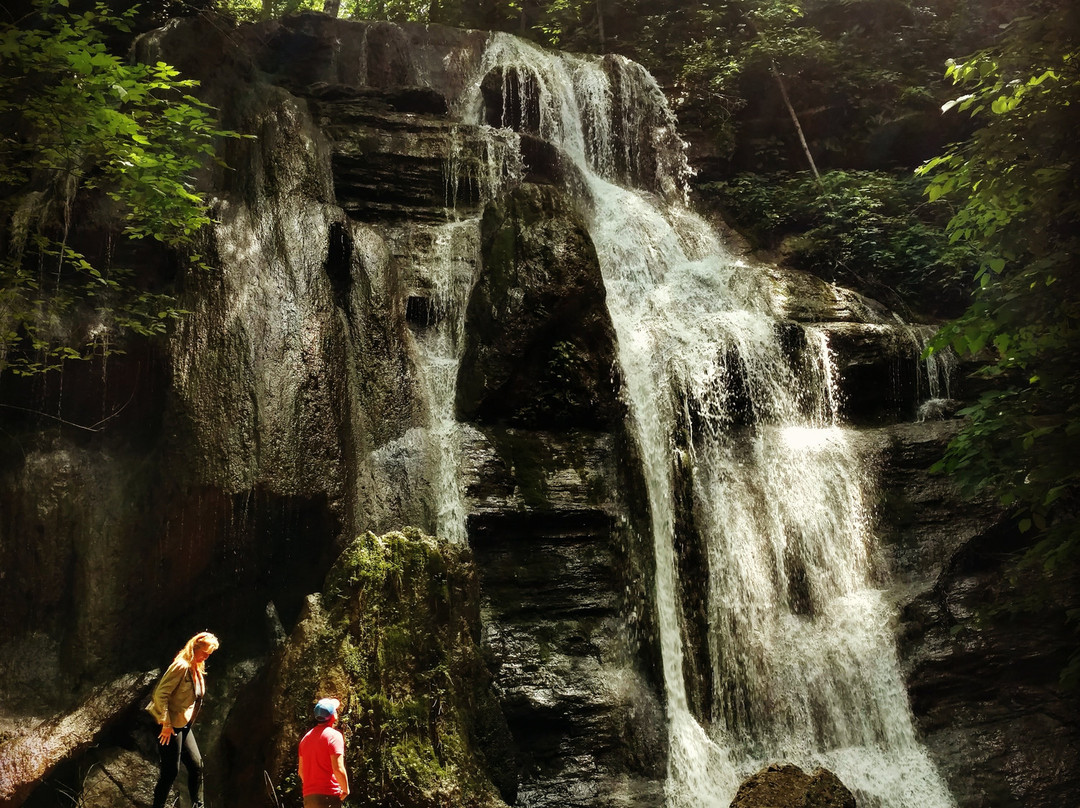 Grundy旅游景点-Tank Hollow Falls